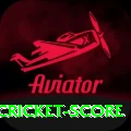 test cricket score Pro v4.5.8