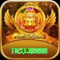 tiger888 Plus v1.1.2