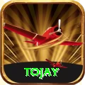 tojay Apps (Tools & Injectors) Max vv5.3.1
