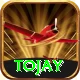 tojay Apps (Tools & Injectors) Max vv5.3.1