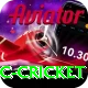 uc cricket Pro Edition v4.2.0