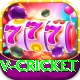 v cricket Pro Edition v1.7.2