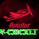 willow cricket Premium v3.0.8