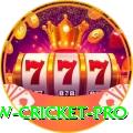 willow cricket - Premium Edition v3.8.1